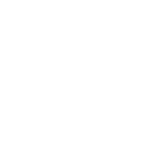 LOGO Edicom-ISO_Logo Edicom-BCO