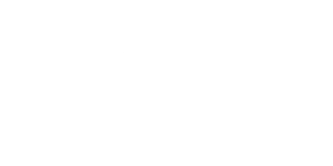 ansi-logo-corregido-520x260